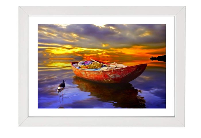 Gull At Sunset Framed Print